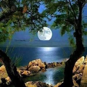 Meet your Posher, Adiba